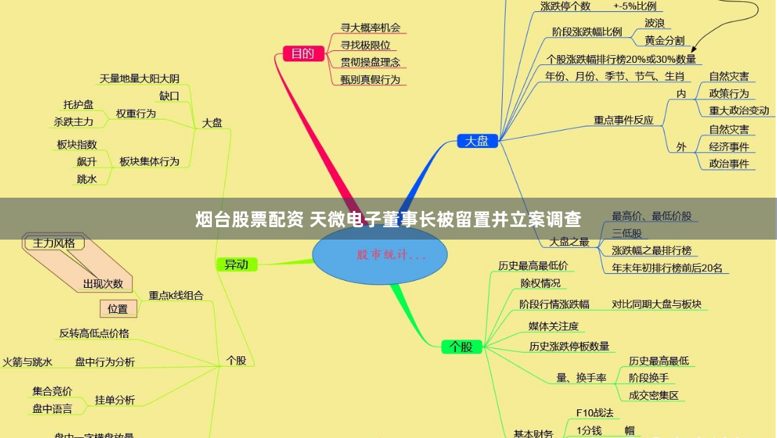 烟台股票配资 天微电子董事长被留置并立案调查