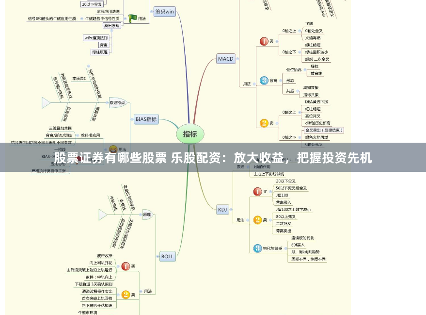 股票证券有哪些股票 乐股配资：放大收益，把握投资先机
