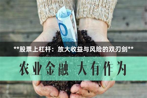 **股票上杠杆：放大收益与风险的双刃剑**